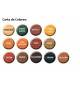 Xyladecor Protector Mate EXTRA 3 en 1